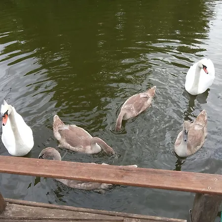 La Detente Camping Fechain